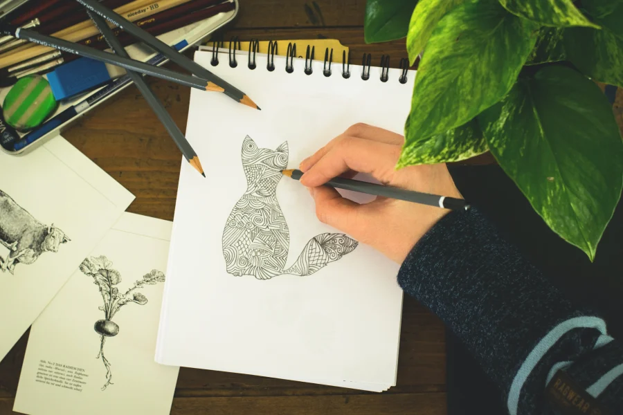 Jak narysować kota krok po kroku? – przewodnik
